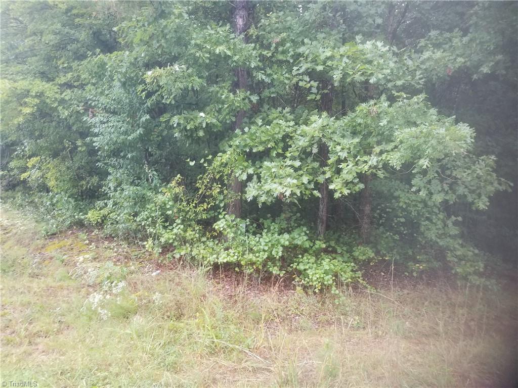 4461 Giles Road Lexington, NC 27295 - Photo 4 of 5 Gallery Image 4