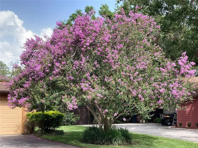 $425,000 | 6709 Peachtree Drive, Temple Terrace, FL 33617