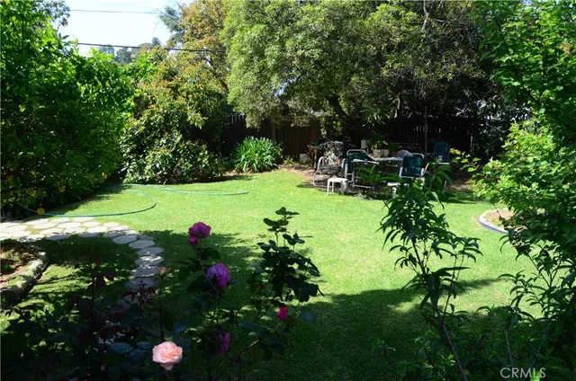 a view of a garden with plants and large trees