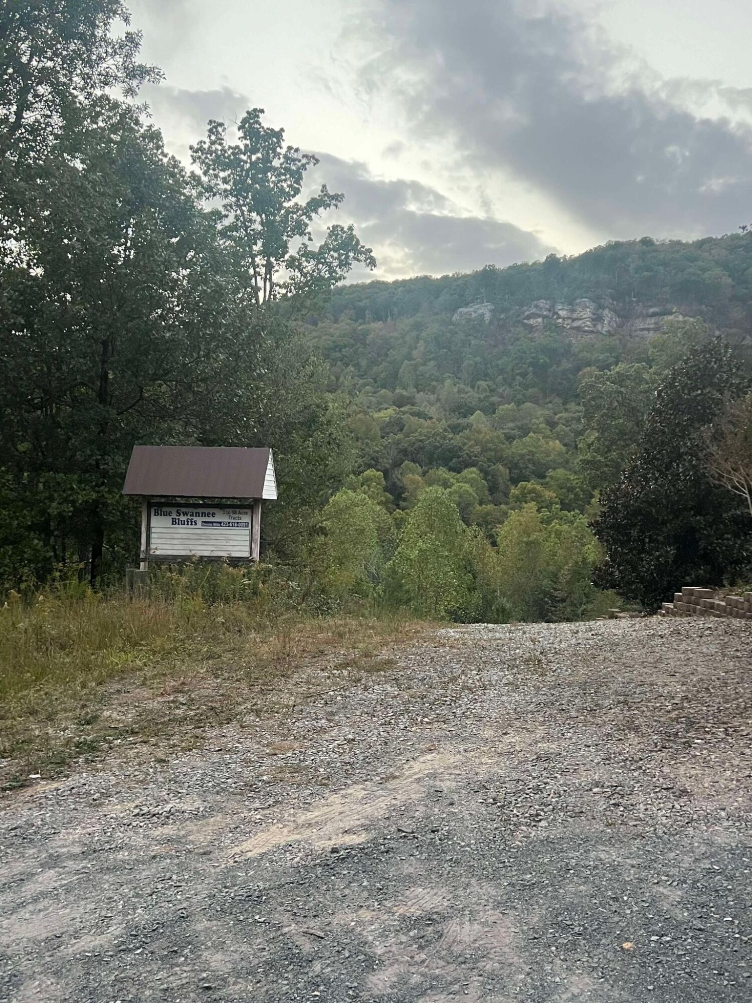 0 Blue Sewanee Road Dunlap, TN 37327 - Photo 1 of 13 Gallery Image 1