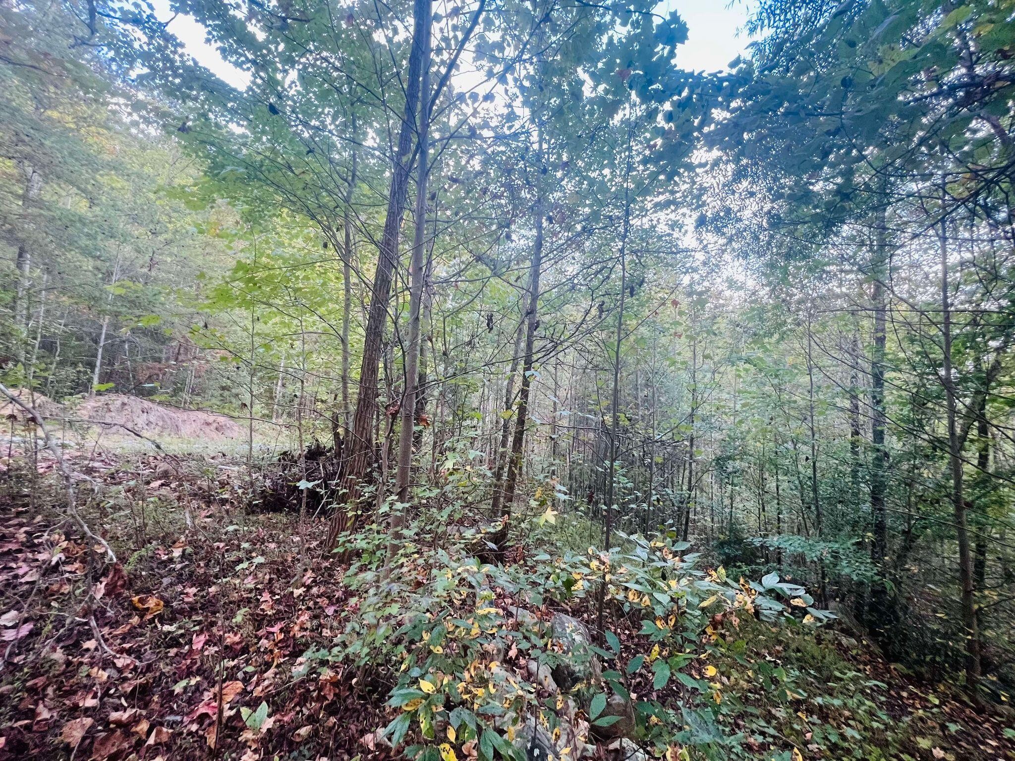 0 Blue Sewanee Road Dunlap, TN 37327 - Photo 13 of 13 Gallery Image 13