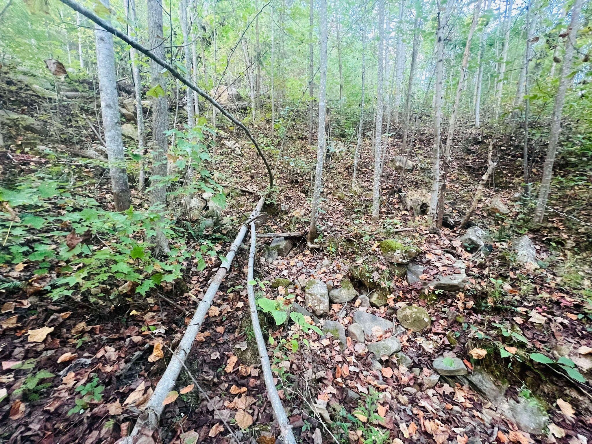 0 Blue Sewanee Road Dunlap, TN 37327 - Photo 3 of 13 Gallery Image 3
