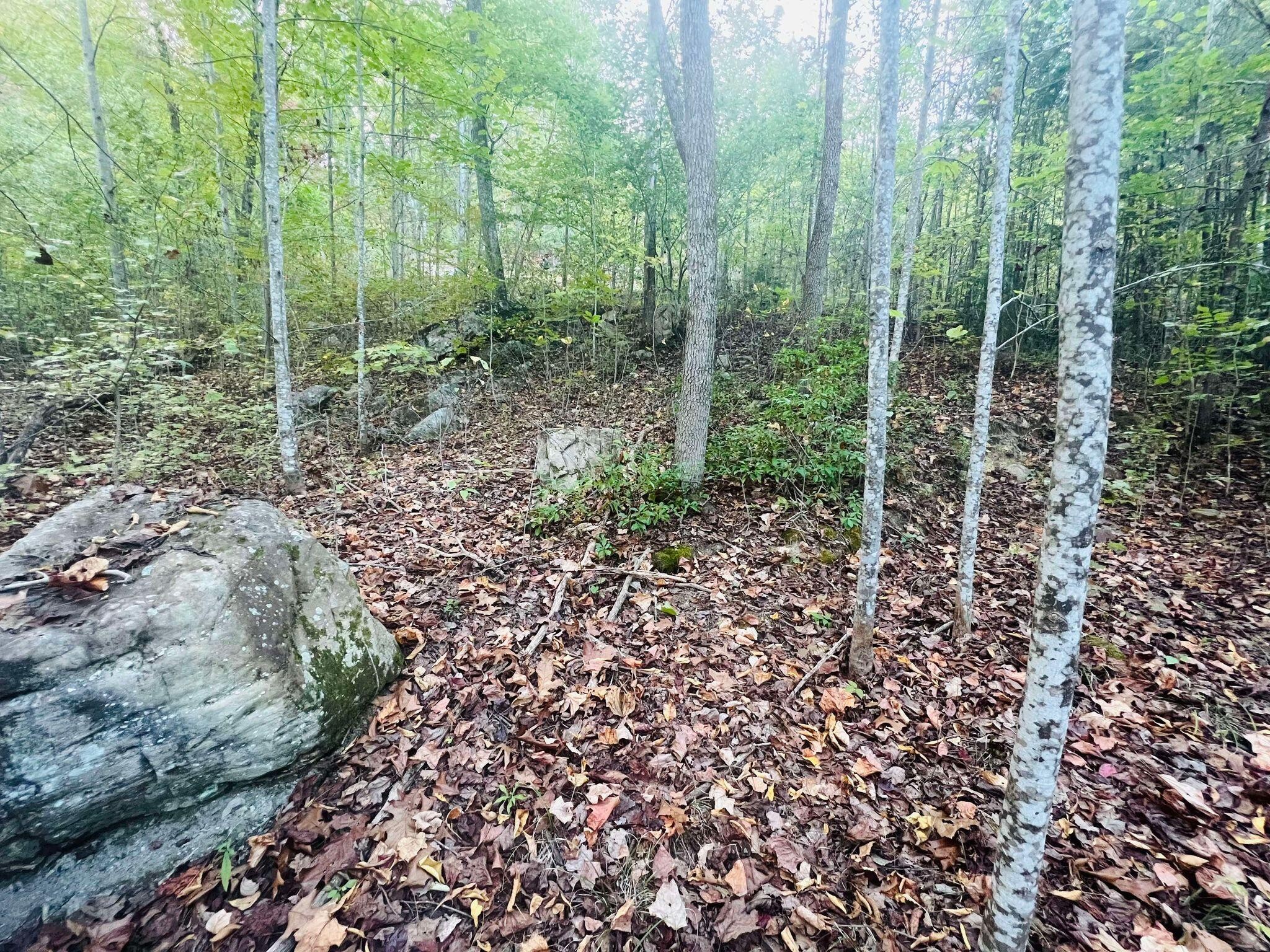 0 Blue Sewanee Road Dunlap, TN 37327 - Photo 4 of 13 Gallery Image 4