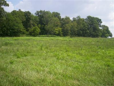0 Perryville Road Perryville, KY 40468 - Photo 2 of 9 Photo 2