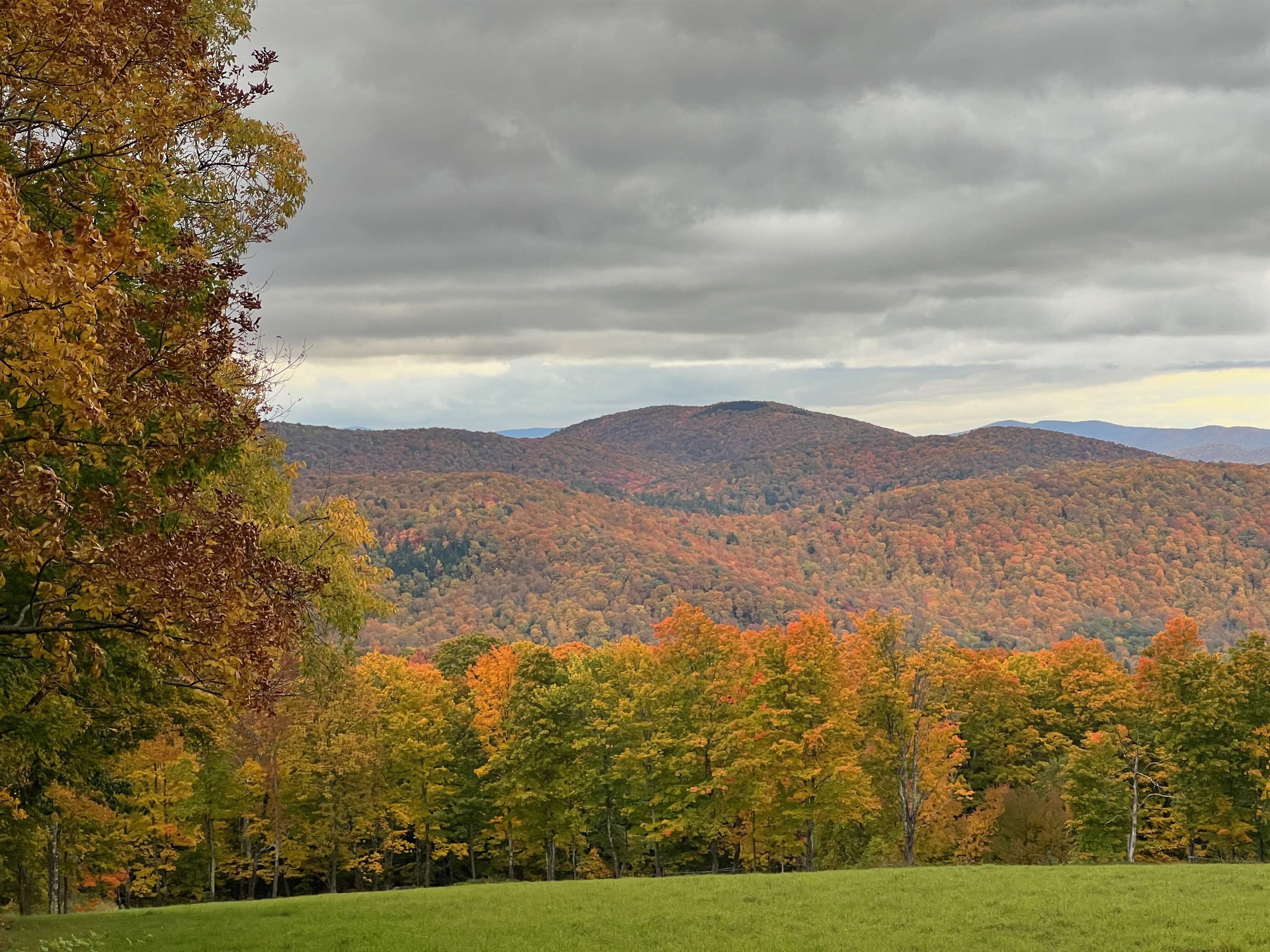 882 Mitchell Road Shrewsbury, VT 05738 - Photo 7 of 45