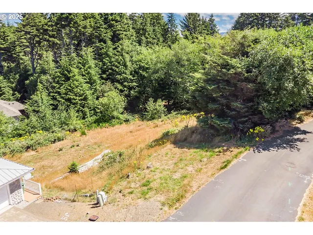 a view of a yard with a tree