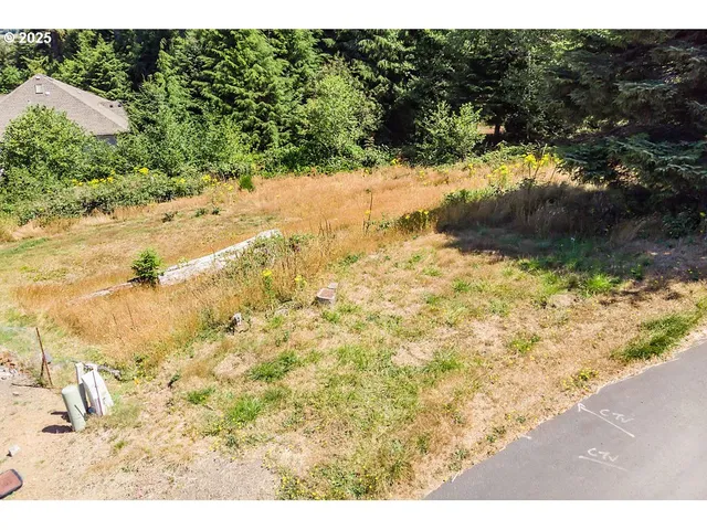 a view of a yard of a lake