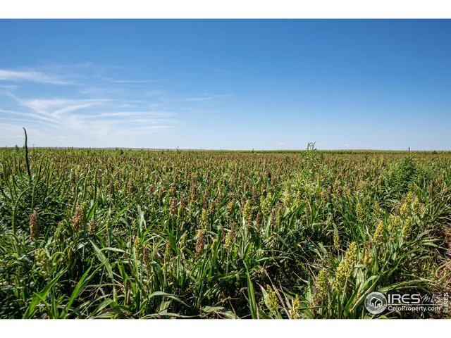 $1,055,000 | 15041 County Road 2, Wiggins, CO 80654