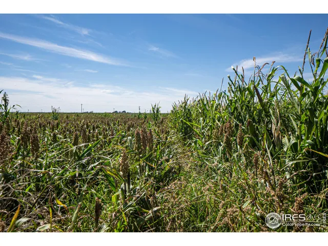 $1,055,000 | 15041 County Road 2, Wiggins, CO 80654