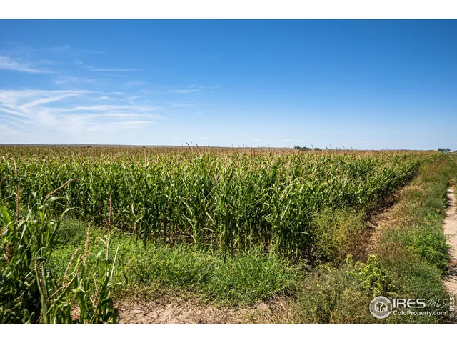 $1,055,000 | 15041 County Road 2, Wiggins, CO 80654