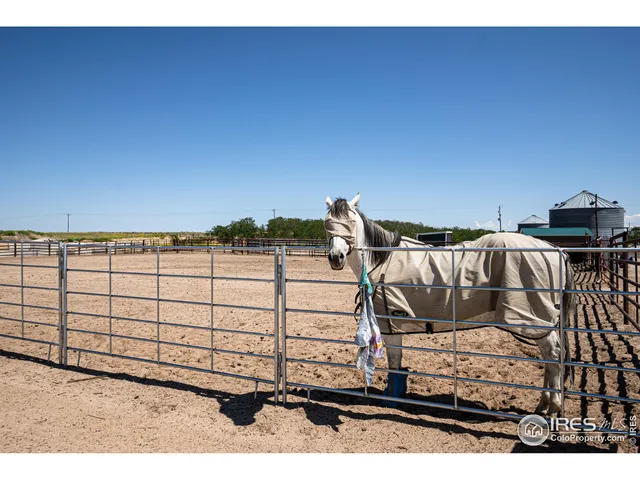 $1,055,000 | 15041 County Road 2, Wiggins, CO 80654