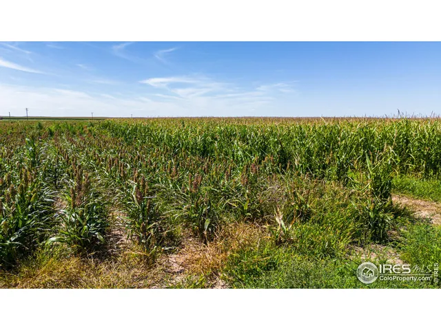 $1,055,000 | 15041 County Road 2, Wiggins, CO 80654