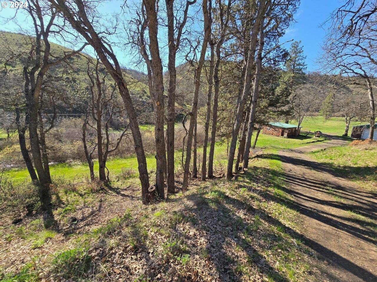 281 Oak Flat Road Goldendale, WA 98620 - Photo 8 of 43 Creek