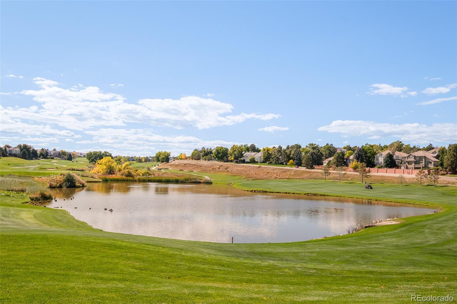 8176 Lone Oak Court Lone Tree, CO 80124 - Photo 42 of 50 a view of a lake with houses in the back