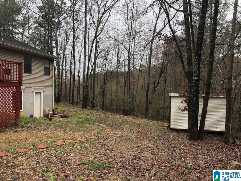 4465 Pleasant Valley Road Jacksonville, AL 36265 - Photo 28 of 30