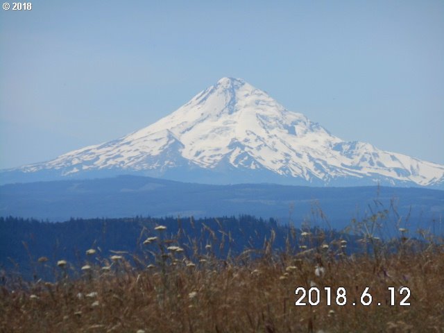 230 Oda Knight Road Lyle, WA 98635 - Photo 2 of 21 Gallery Image 2
