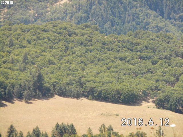 230 Oda Knight Road Lyle, WA 98635 - Photo 16 of 21 Gallery Image 16