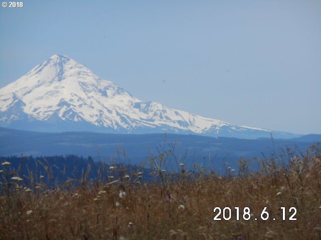 230 Oda Knight Road Lyle, WA 98635 - Photo 18 of 21 Gallery Image 18