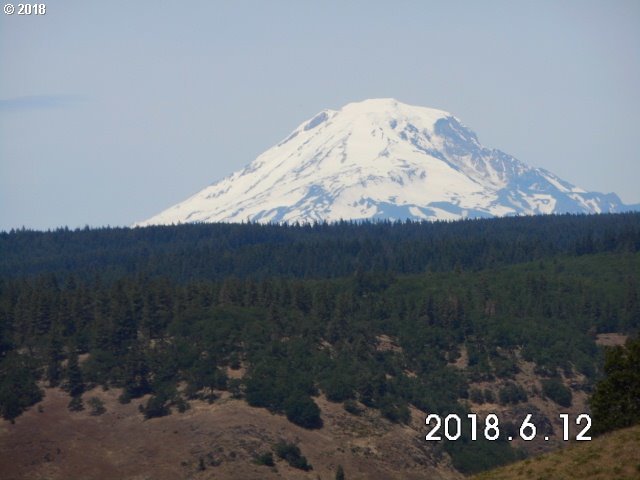 230 Oda Knight Road Lyle, WA 98635 - Photo 3 of 21 Gallery Image 3