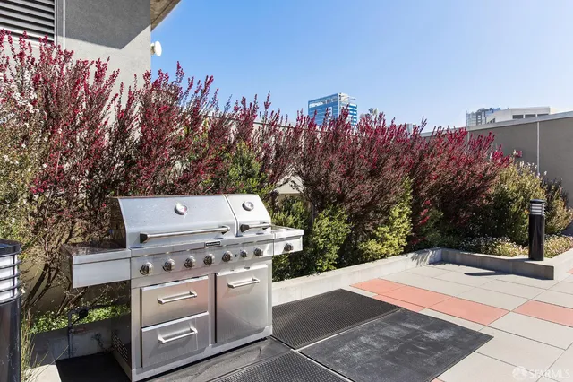 a view of a yard with trees