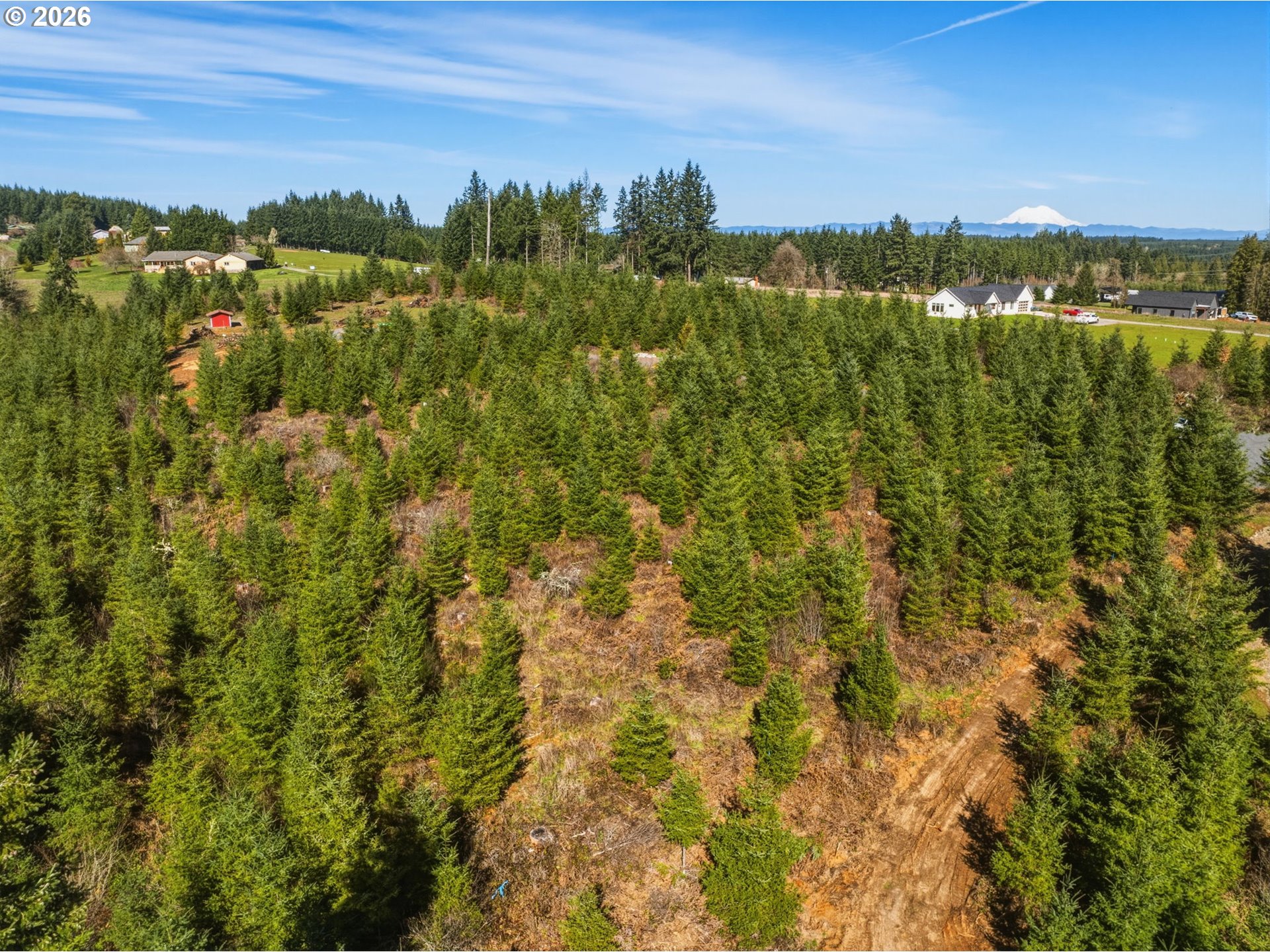 128 Brim Ridge Lane Winlock, WA 98596 - Photo 7 of 11