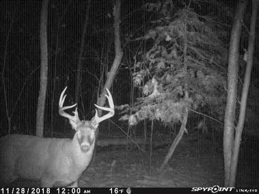 4365 Turney Road Madison, OH 44057 - Photo 13 of 48 Gallery Image 13