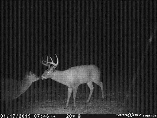 4365 Turney Road Madison, OH 44057 - Photo 14 of 48 Gallery Image 14