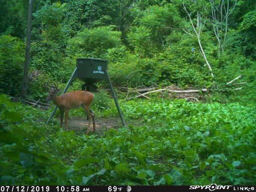4365 Turney Road Madison, OH 44057 - Photo 17 of 48 Gallery Image 17
