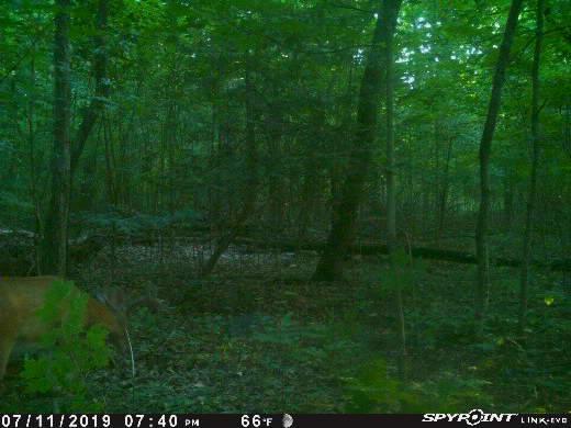4365 Turney Road Madison, OH 44057 - Photo 18 of 48 Gallery Image 18