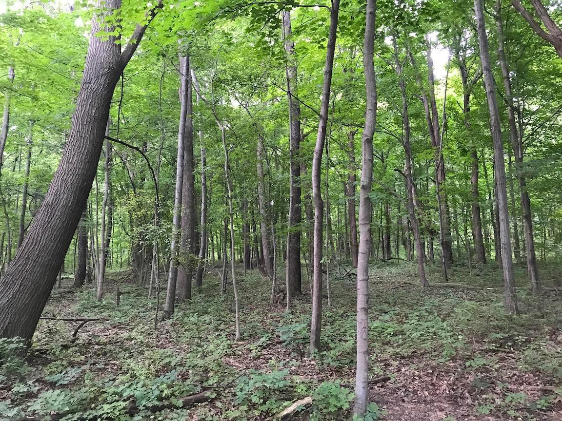 4365 Turney Road Madison, OH 44057 - Photo 19 of 48 Gallery Image 19