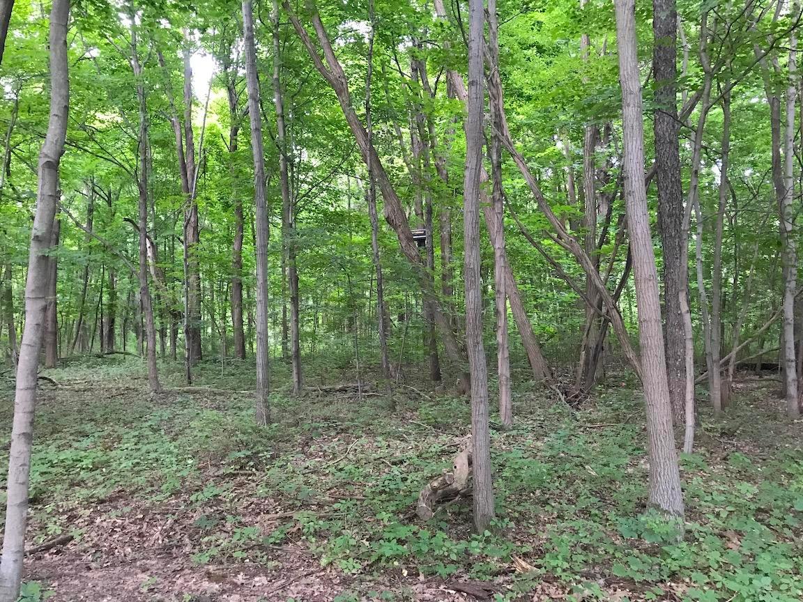 4365 Turney Road Madison, OH 44057 - Photo 20 of 48 Gallery Image 20
