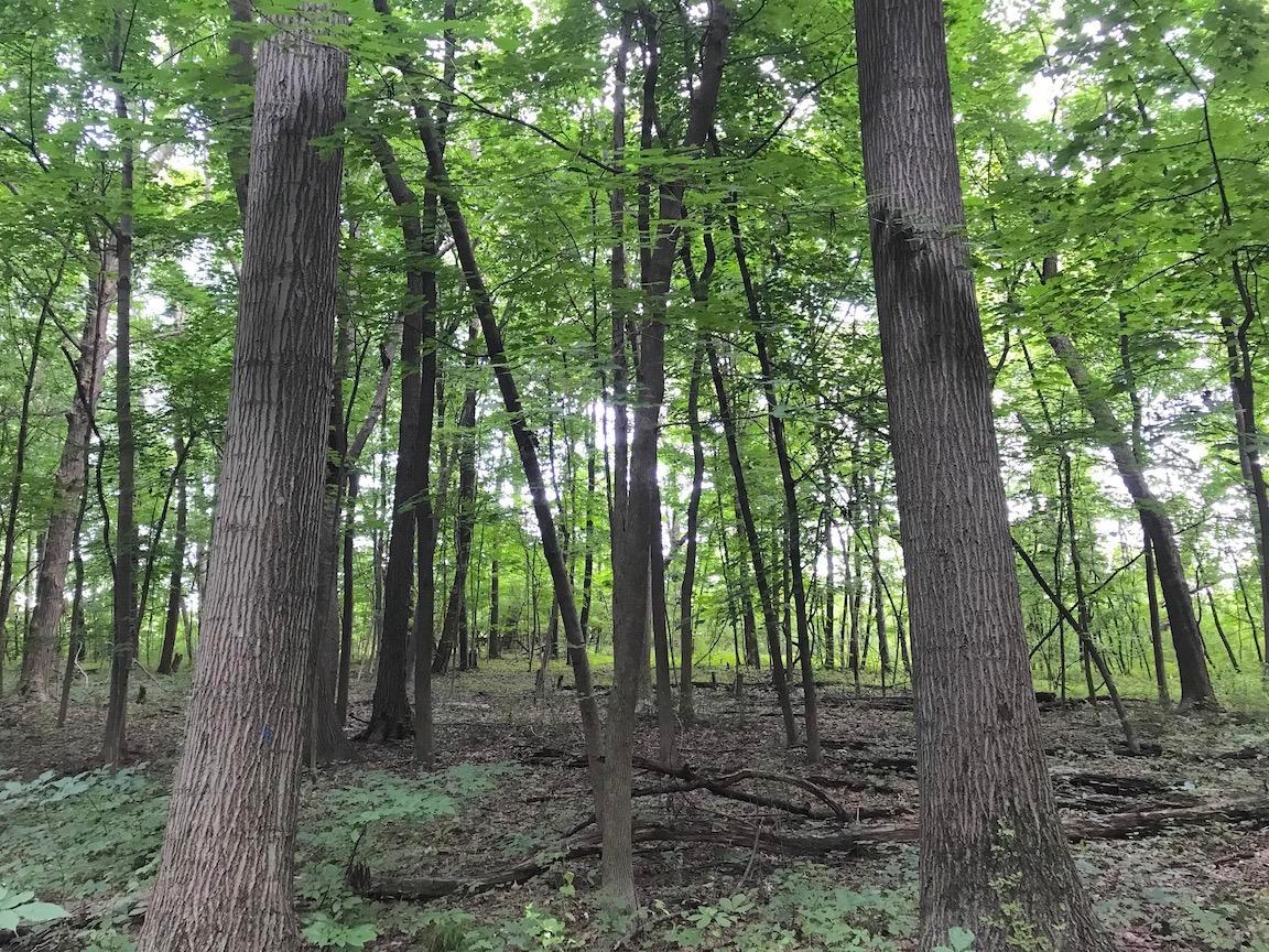 4365 Turney Road Madison, OH 44057 - Photo 23 of 48 Gallery Image 23