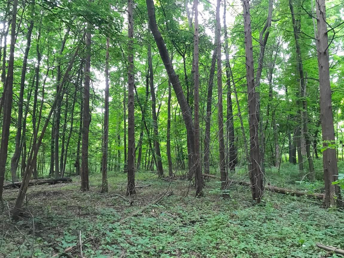 4365 Turney Road Madison, OH 44057 - Photo 24 of 48 Gallery Image 24