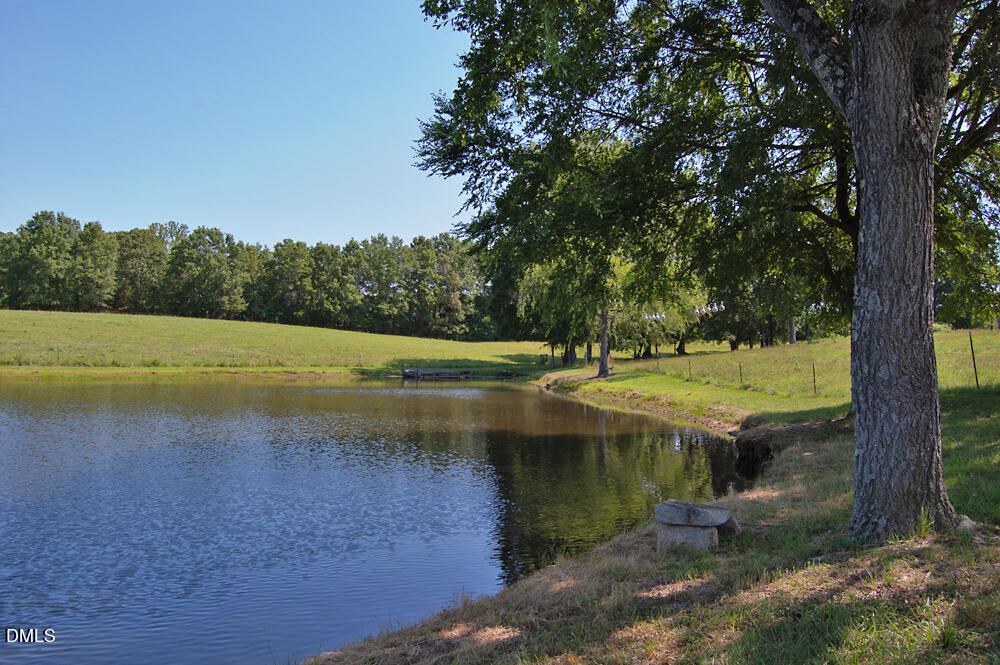 9166 Tilley Road Bullock, NC 27507 - Photo 12 of 86