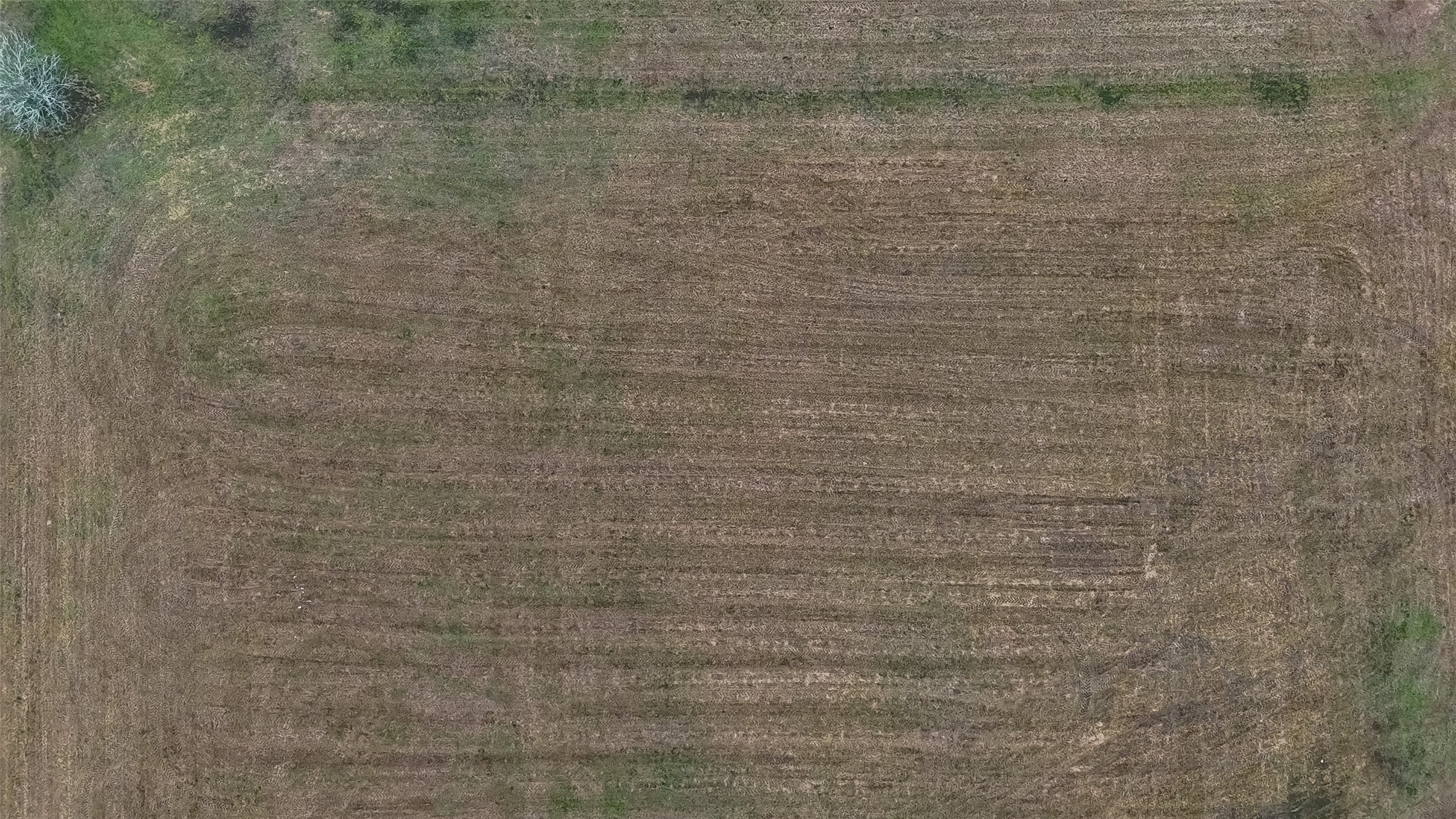 360 Brahman Trail Angleton, TX 77515 - Photo 10 of 10