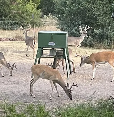 a patio with table and chairs