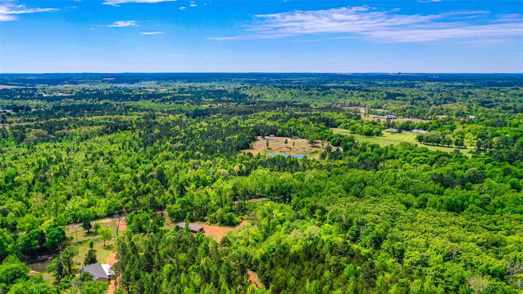 11088 County Road 334 Tyler, TX 75708 - Photo 22 of 23