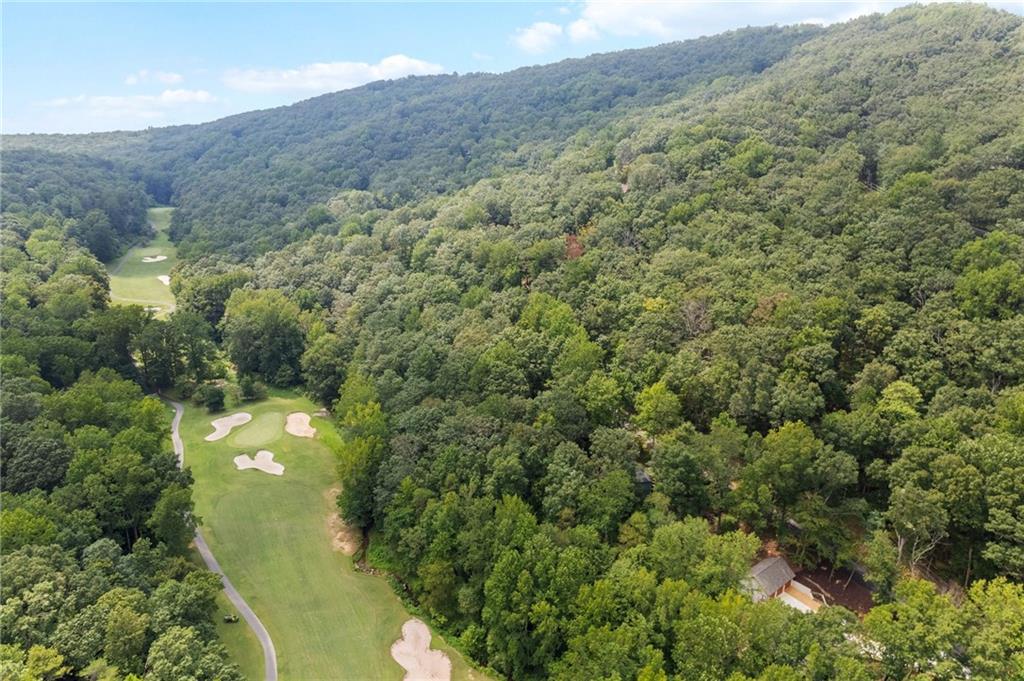 816 Mulligan Way Jasper, GA 30143 - Photo 31 of 36 a view of a forest with mountains in the background