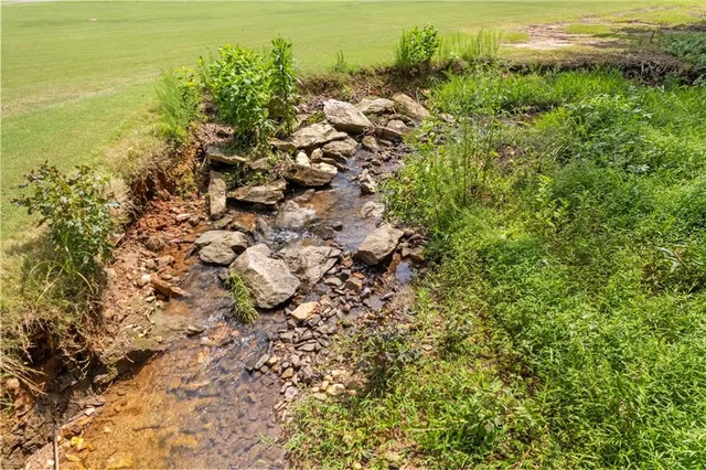 a outdoor space with lots of trees