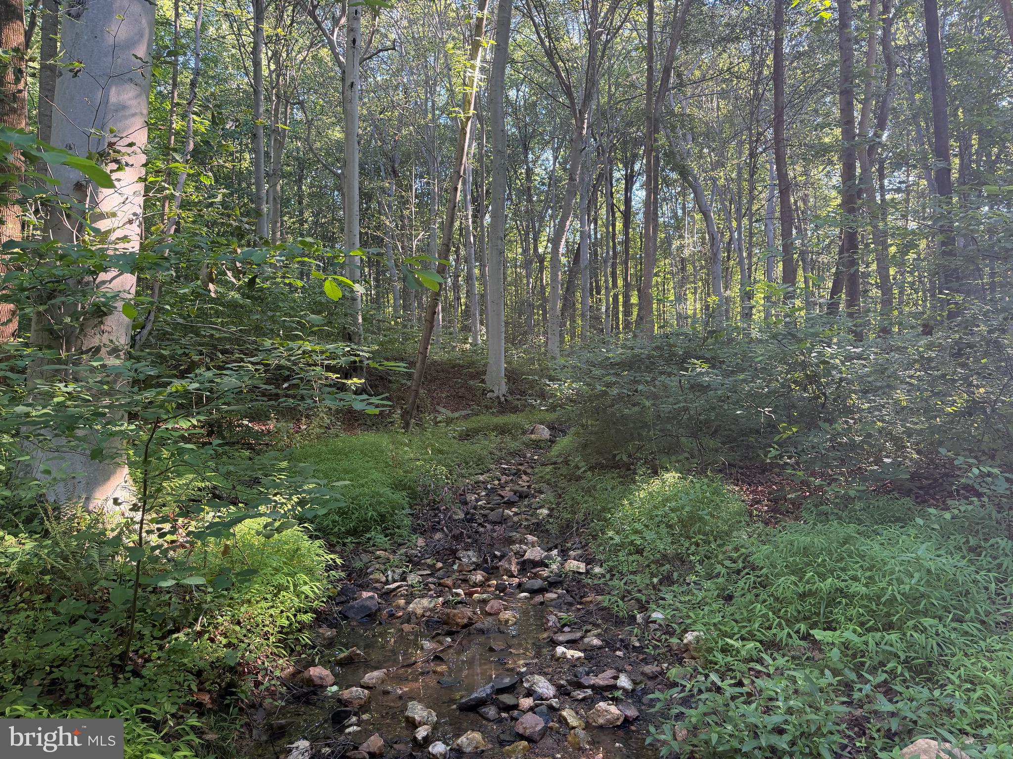0 Rock Springs Road Conowingo, MD 21918 - Photo 30 of 79