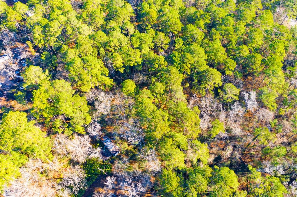 Lot 30 Cedar Court Trinity, TX 75862 - Photo 4 of 19