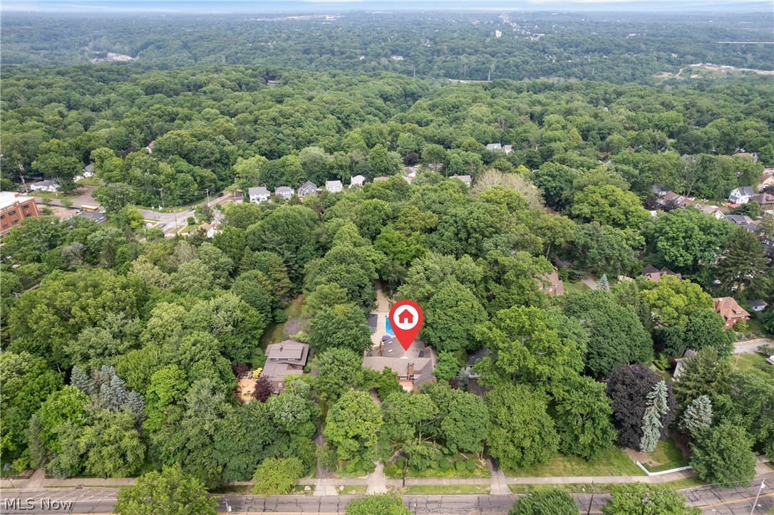 443 Merriman Road Akron, OH 44303 - Photo 5 of 44 Property situated within a verdant, tree-filled landscape
