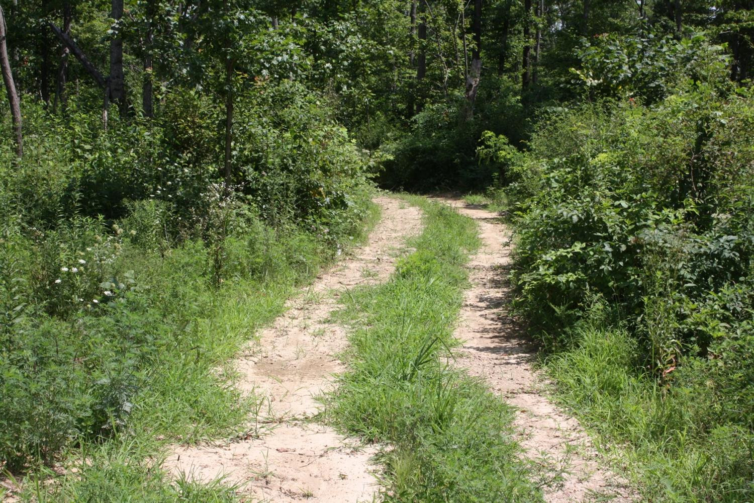 1381 Hurricane Ridge Road Waynesburg, KY 40489 - Photo 7 of 9 Listing Photo