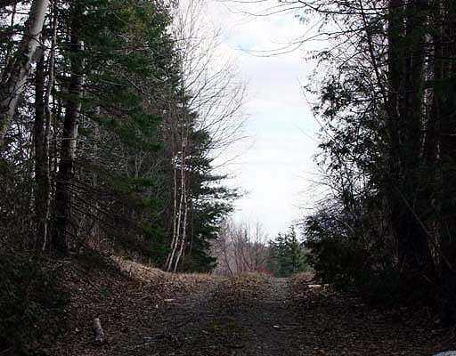 Lot 43 Highway 2 Lunenburg, VT 05906 - Photo 22 of 24 Land. Many Hidden Nooks, Crannys To...