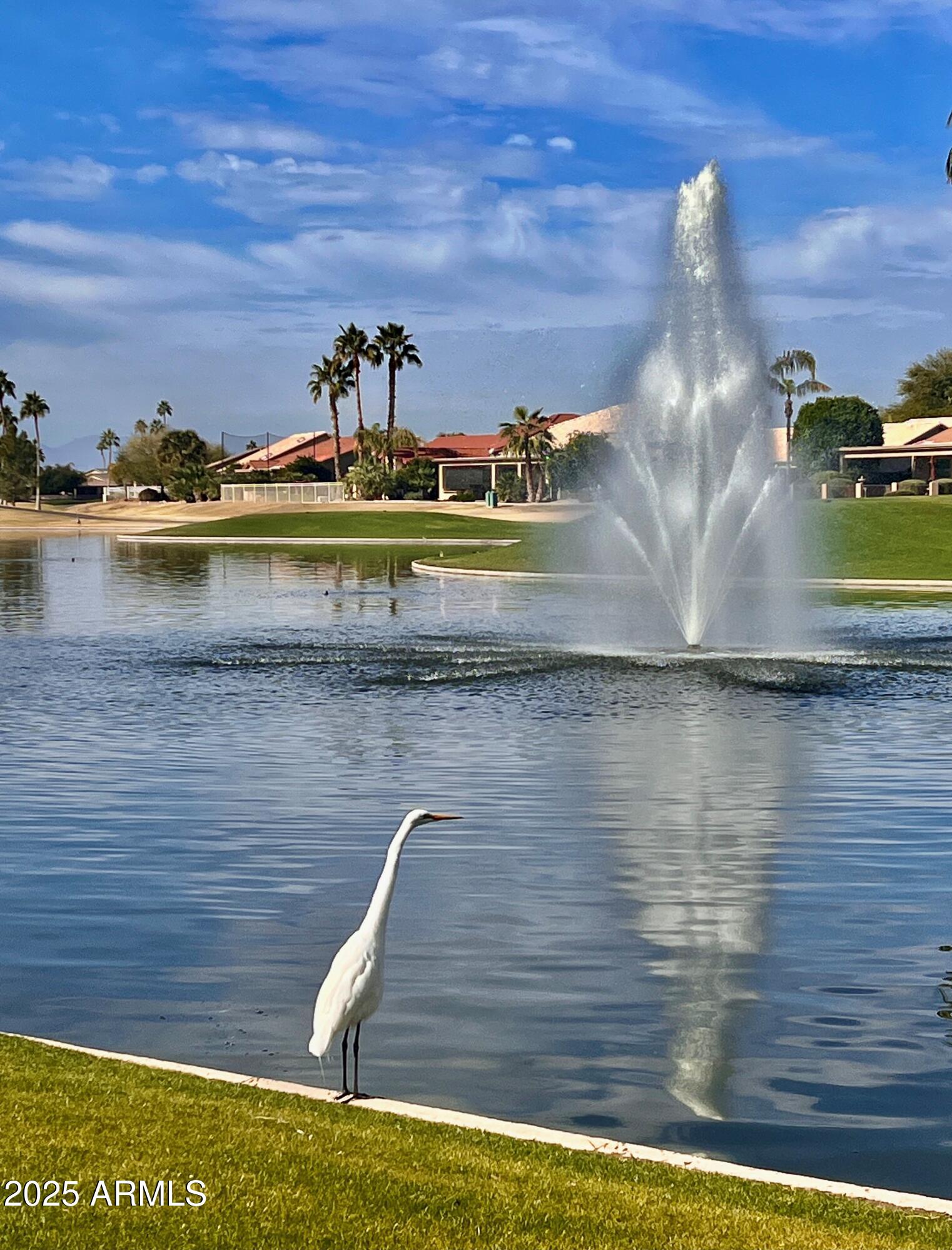23745 South Vacation Way Sun Lakes, AZ 85248 - Photo 46 of 52 Lake Fountain