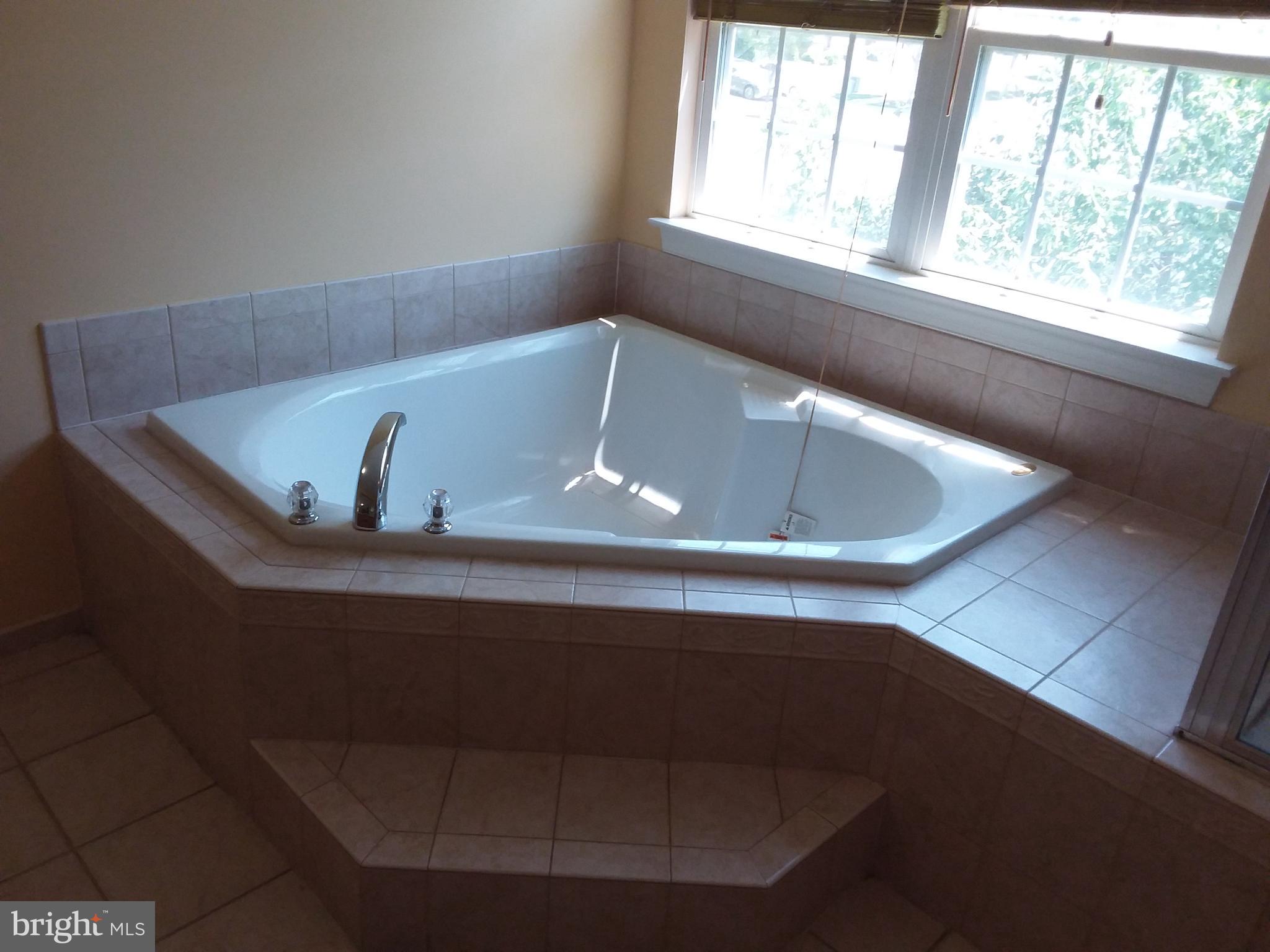 2107 Medinah Ridge Road Accokeek, MD 20607 - Photo 23 of 50 master bath