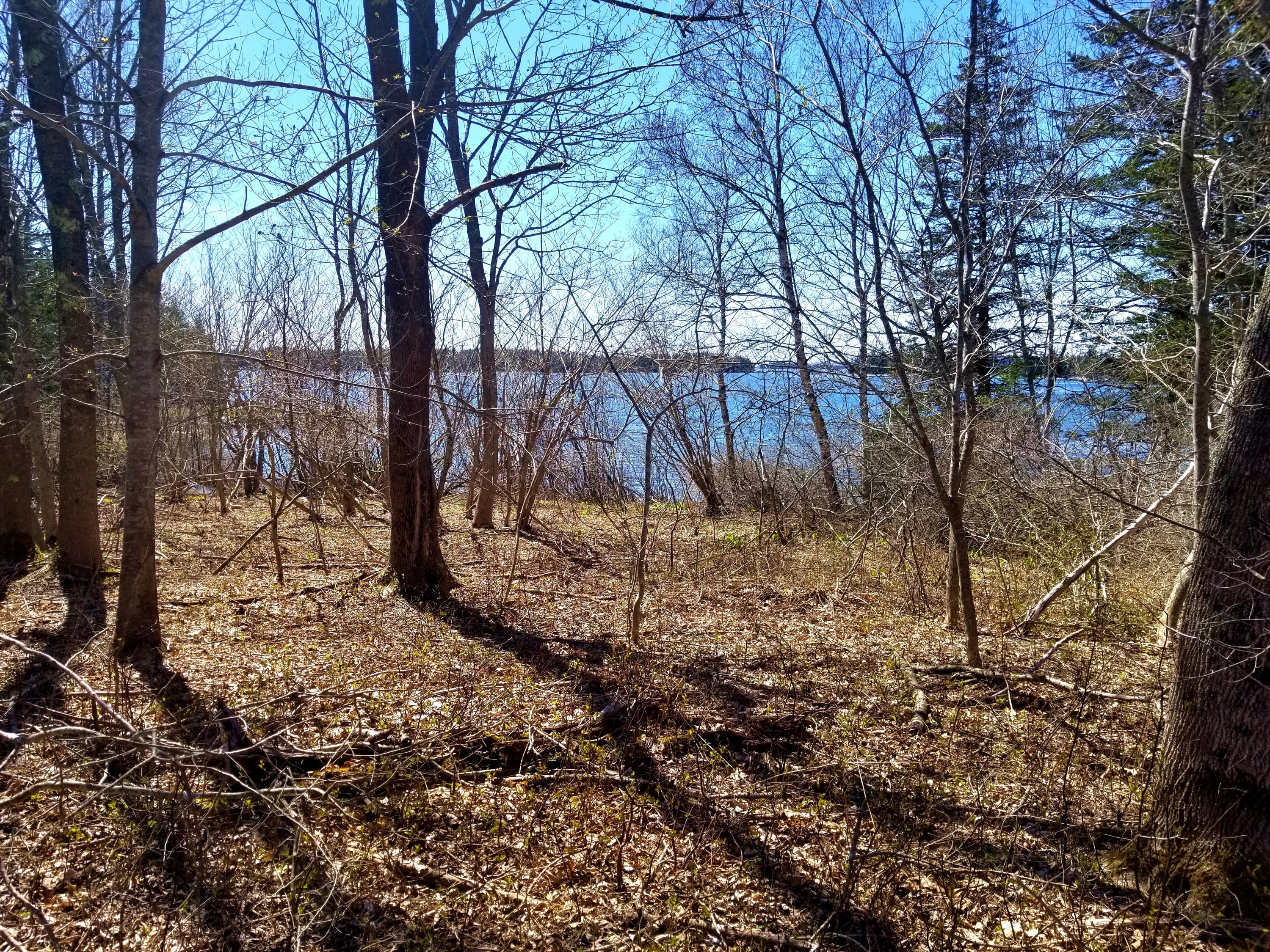 319 Sunset Road Deer Isle, ME 04627 - Photo 10 of 29 Building Site View