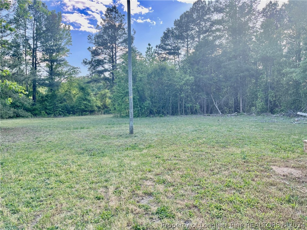 1649 Little River Road, Unit A & B Spring Lake, NC 28390 - Photo 10 of 35