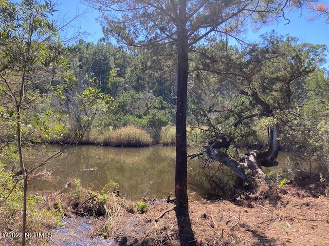 324 Clearview Drive Holly Ridge, NC 28445 - Photo 2 of 12 IMG_1358