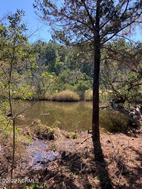 324 Clearview Drive Holly Ridge, NC 28445 - Photo 6 of 12 IMG_1359